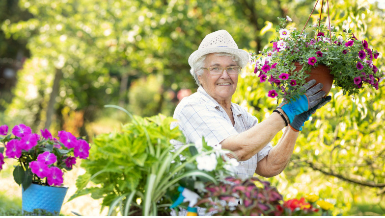 Zelená terapia: Hortikultúrna terapia v starostlivosti o seniorov